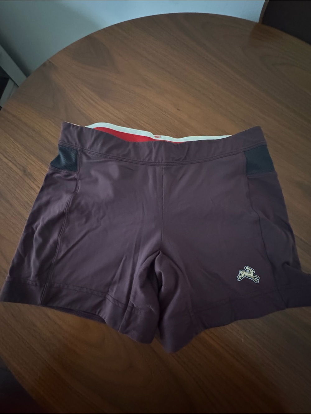 Tracksmith Plum Athletic Spandex Shorts